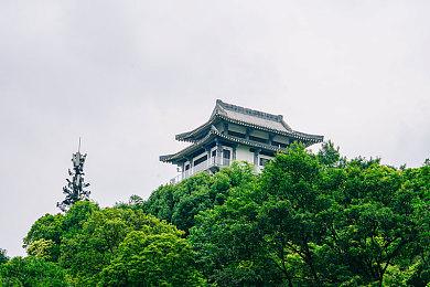 猎天使魔女2星际火狐零总监参与《街霸6》开发